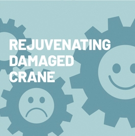 Rejuvenating Damaged Crane